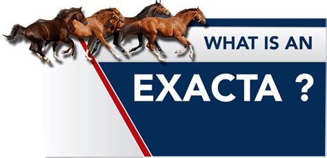 exacta bet|Exacta Betting Explained .
